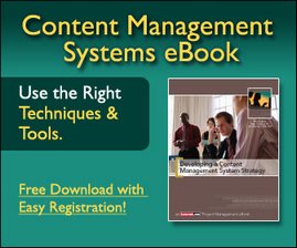 Developing a Content Management System Strategy